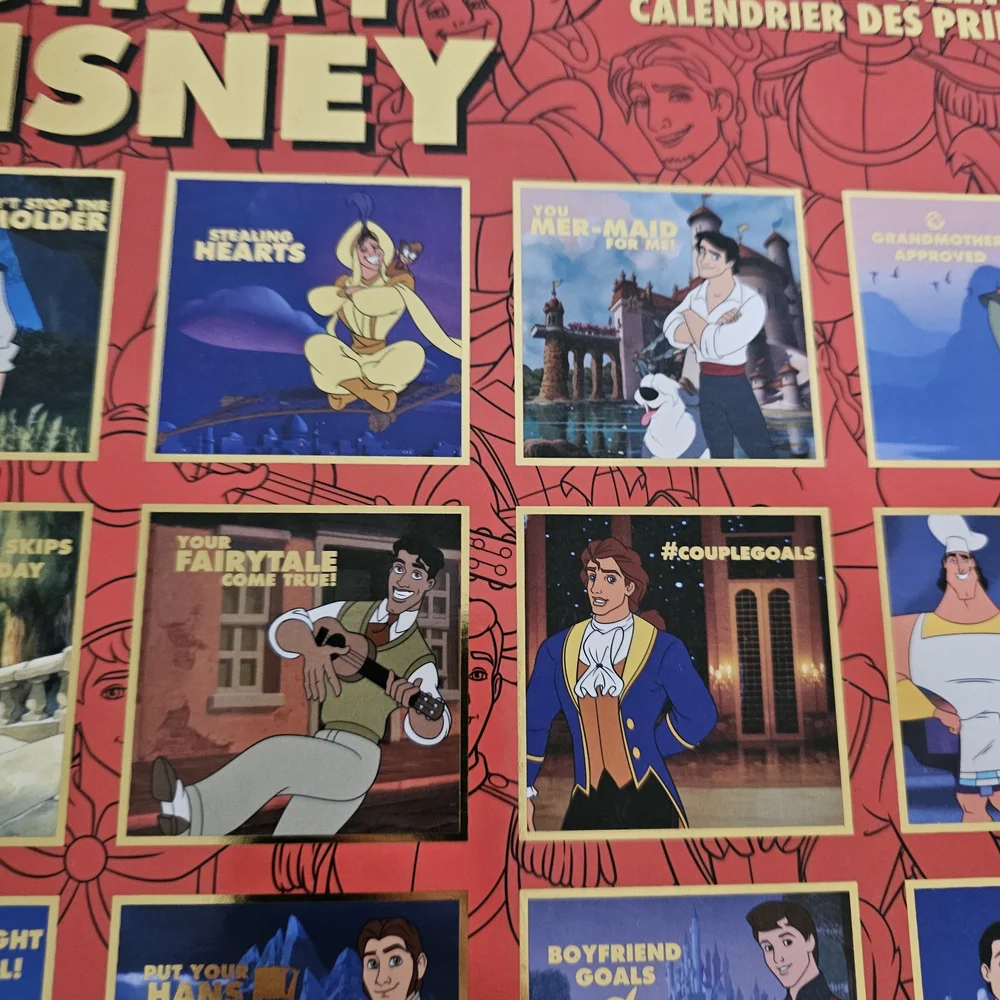 Oh My Disney DIY ANY YEAR Calendar Princes NEW Rare